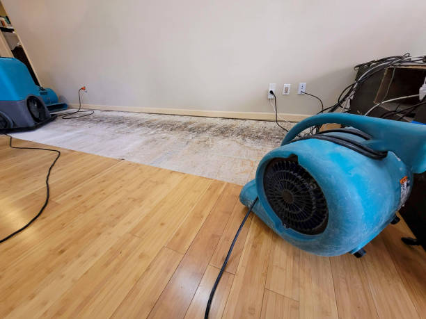 Professional Emergency Water Damage technician working in Hull, IA